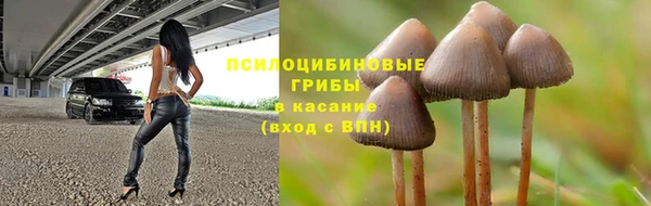 дмт Алзамай