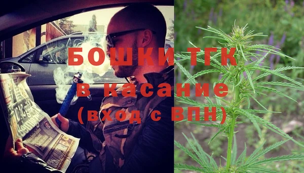 дмт Алзамай