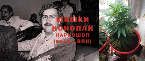 первитин Алексин